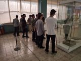 gallery_latest_0